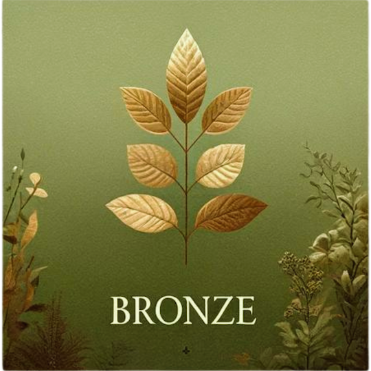 Top up Bronze